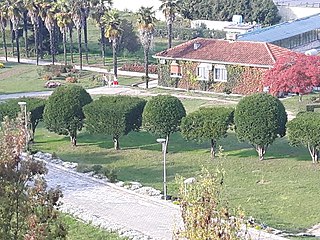 Kopshti Botanik i Tiranës