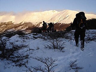 Monte Tarn