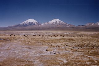 Volcán Pomerape