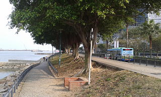 黑沙環海濱公園 Parque Marginal da Areia Preta