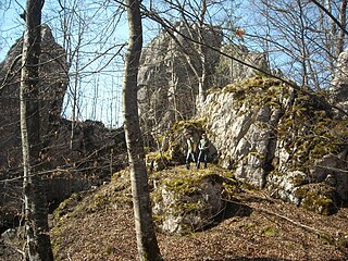 Ruine Burg Baldeck