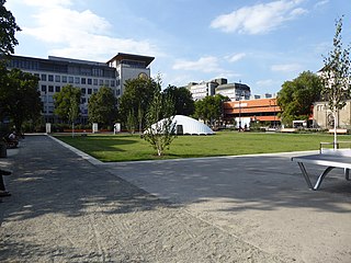 Steinplatz