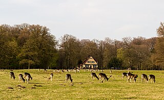 Wildpark Dülmen