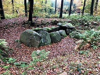 Großsteingrab Nenndorf