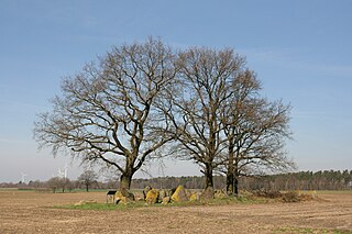 Großsteingrab Kahlstorf 1