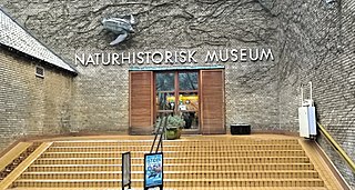 Naturhistorisk Museum