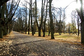 Tähtvere park