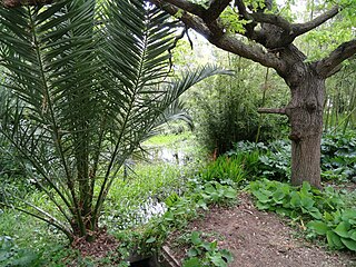 Jardin botanique Villa Thuret