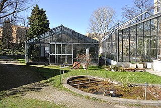 Giardini dell'Orto Botanico