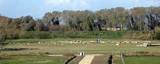 Archaeological site of Hera Argiva