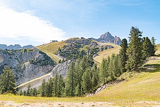 Monte Faloria