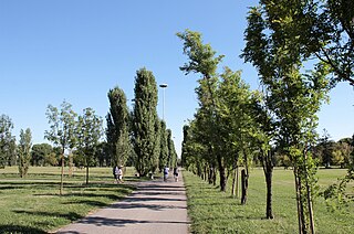 Parco Aldo Aniasi