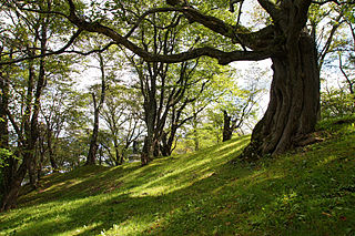 桂ヶ岡公園