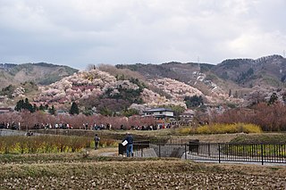 花見山公園