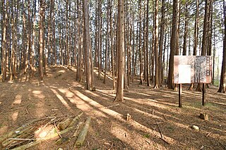 代田山狐塚古墳