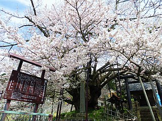 素櫻神社