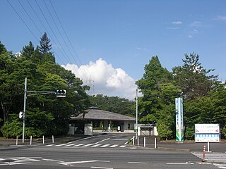 筑波実験植物園