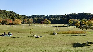 21世紀の森と広場
