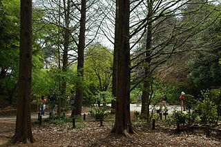 神戸市立森林植物園