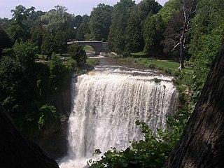 Shaver Falls / Filman Falls