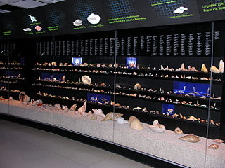 Litauisches Meeresmuseum