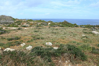 Xrobb l-Għaġin Temple