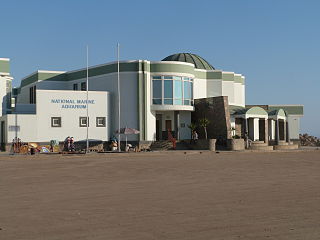 The National Marine Aquarium of Namibia