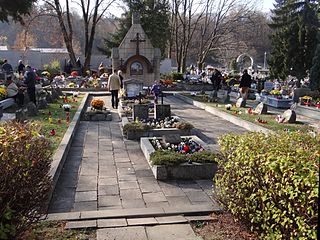Cmentarz wojenny nr 366 – Limanowa
