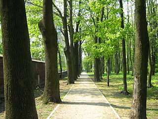 Park im. Tadeusza Rejtana