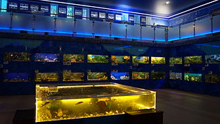 Дом-аквариум
