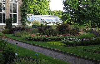 Botaniska trädgården