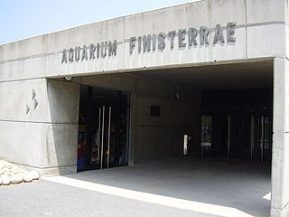Aquarium Finisterrae - Fischhaus