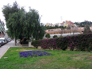 Parc del Pla de Fornells