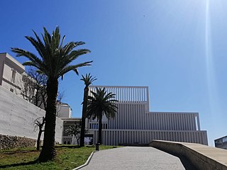 Museo de Arte Contemporáneo Helga de Alvear