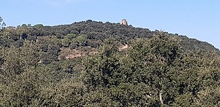 Sant Miquel