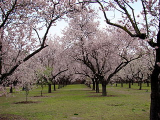 Parque Quinta de los Molinos