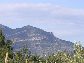 Puig des Moro