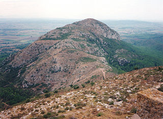 Puig Rodó