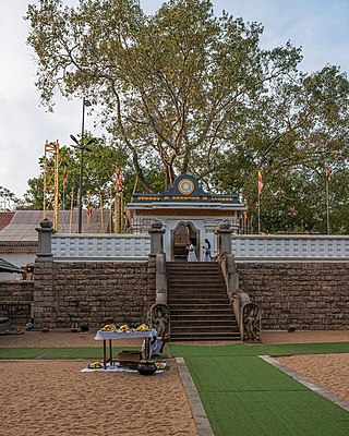 Jaya Sri Maha Bodhi