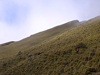 南玉山