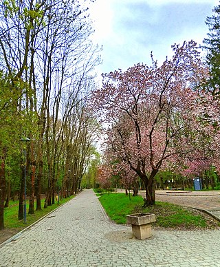 Скнилівський парк