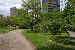 Дніпровський парк