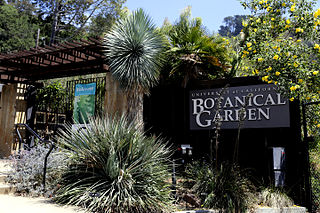 University of California Botanical Garden at Berkeley