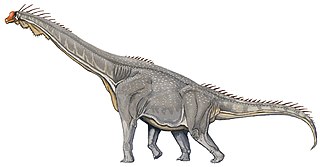 Brachiosaurus Replica