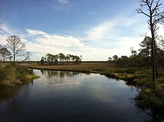 Bald Point State Park