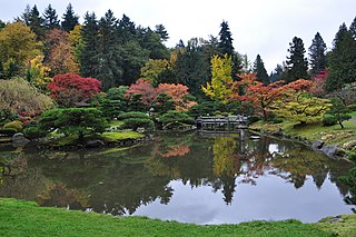 Japanese Garden