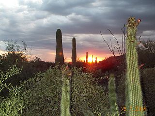 Arizona-Sonora Desert Museum