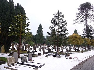 Wimborne Road Cemetery