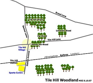 Tile Hill Wood