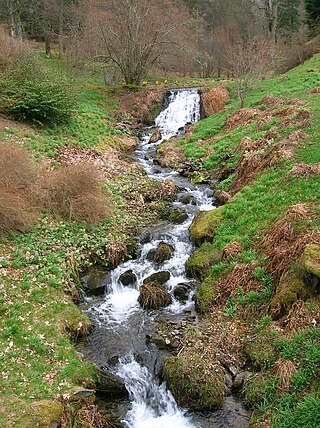 Dawyck Botanic Garden